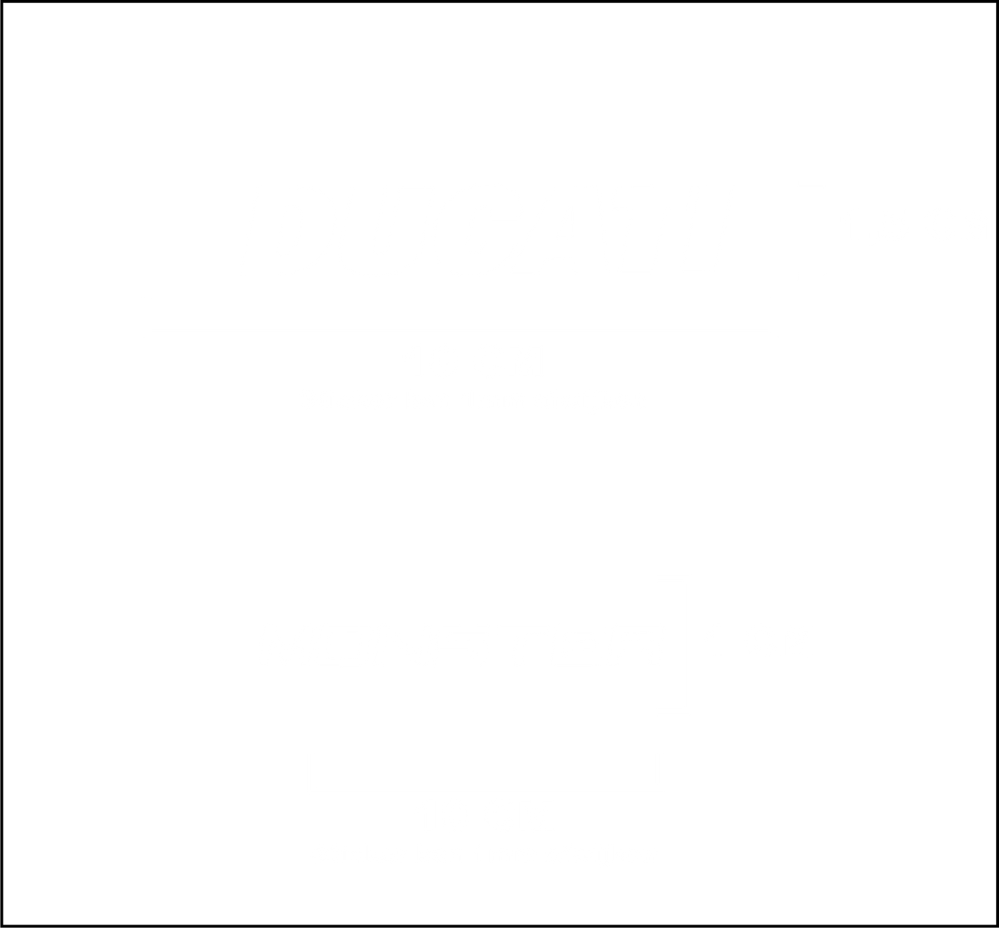 Ducati Monster Sticker Set